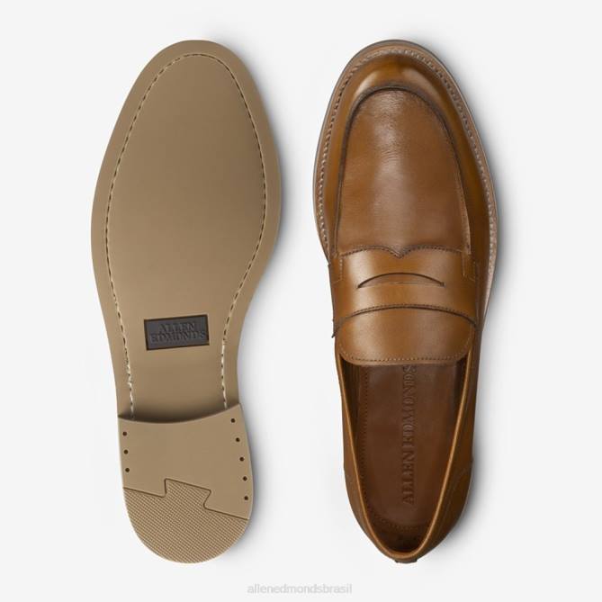 Allen Edmonds homens mocassim newton penny 68T8D70 noz