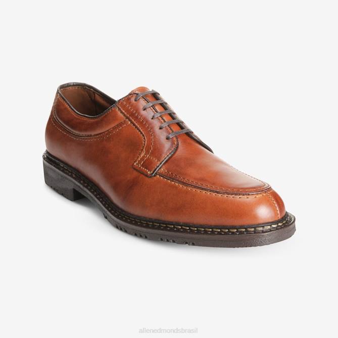 Allen Edmonds homens sapato de conforto wilbert 68T8D51 marrom