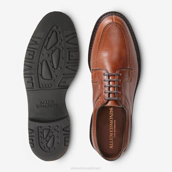 Allen Edmonds homens sapato de conforto wilbert 68T8D51 marrom