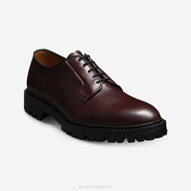 Allen Edmonds homens lennon lug derby 68T8D105 couro bordô